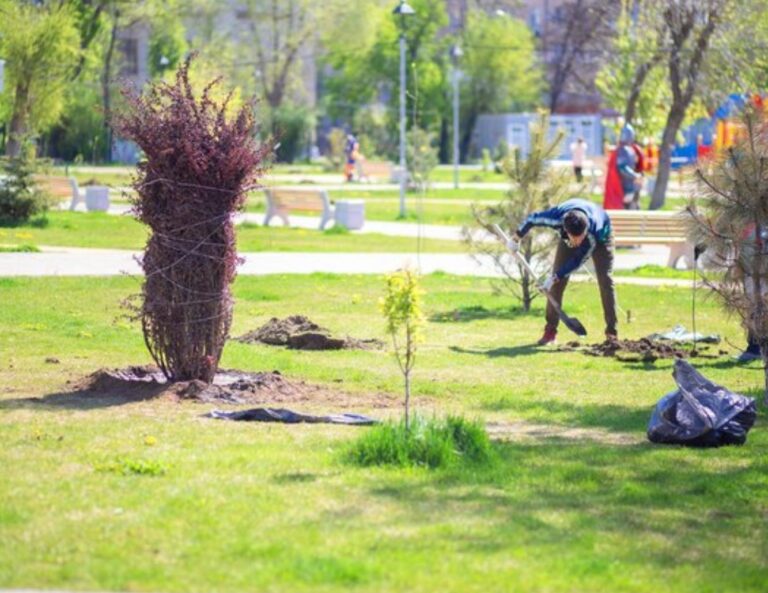 Gardening Company – Green Earth Atlas