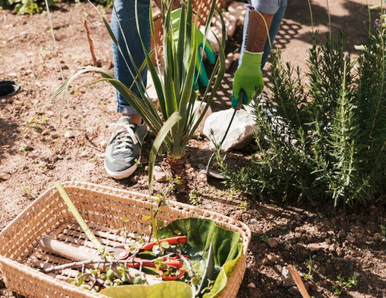 Gardening Company – Green Earth Atlas