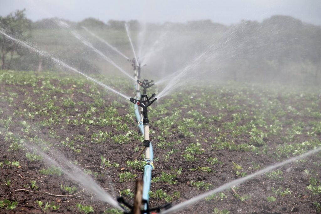 irrigation-company-morocco-green-earth-atlas