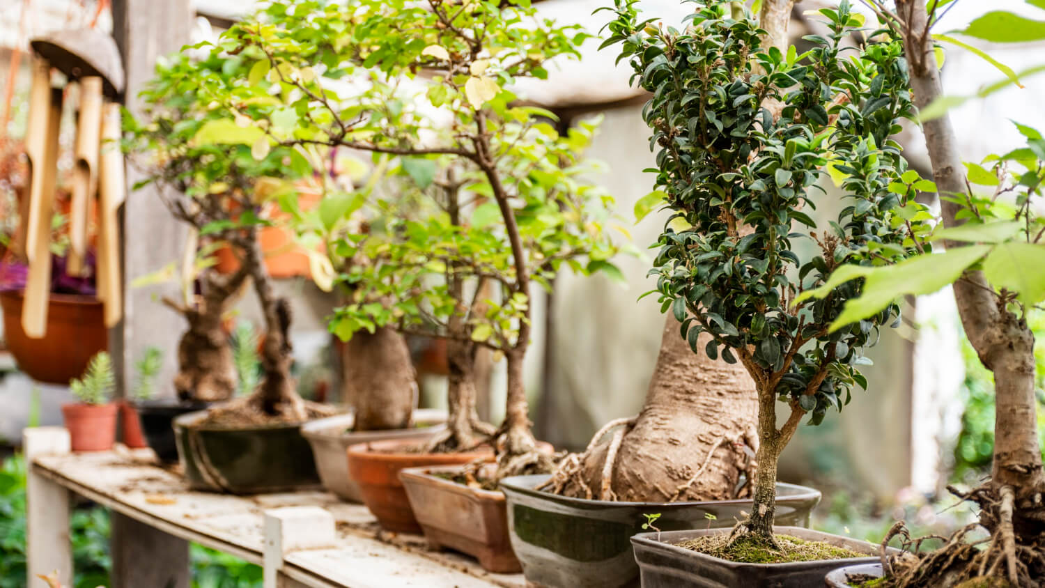 création et aménagement d'un jardin - Société de jardinage au Maroc Green Earth Atlas