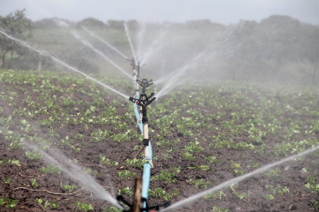 Société d'irrigation au Maroc - Green Earth Atlas